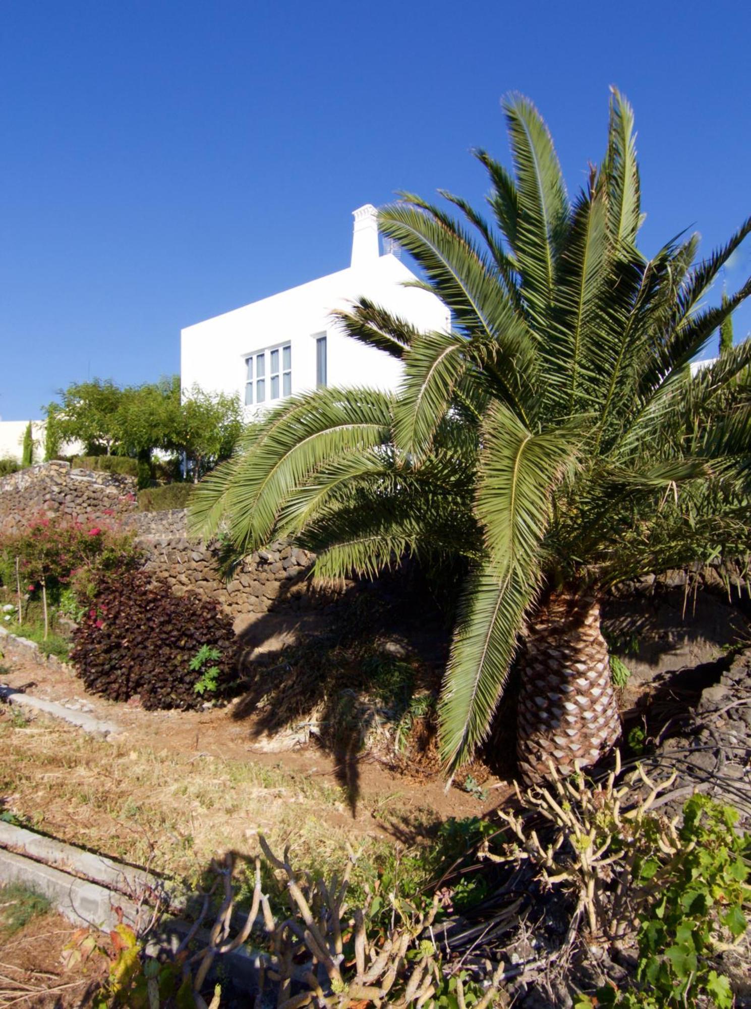 Casa La Brena La Palma Villa Breña Baja Kültér fotó